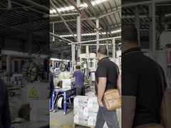 मिस्र ग्राहक निरीक्षण